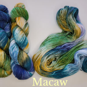Alternative view of Macaw